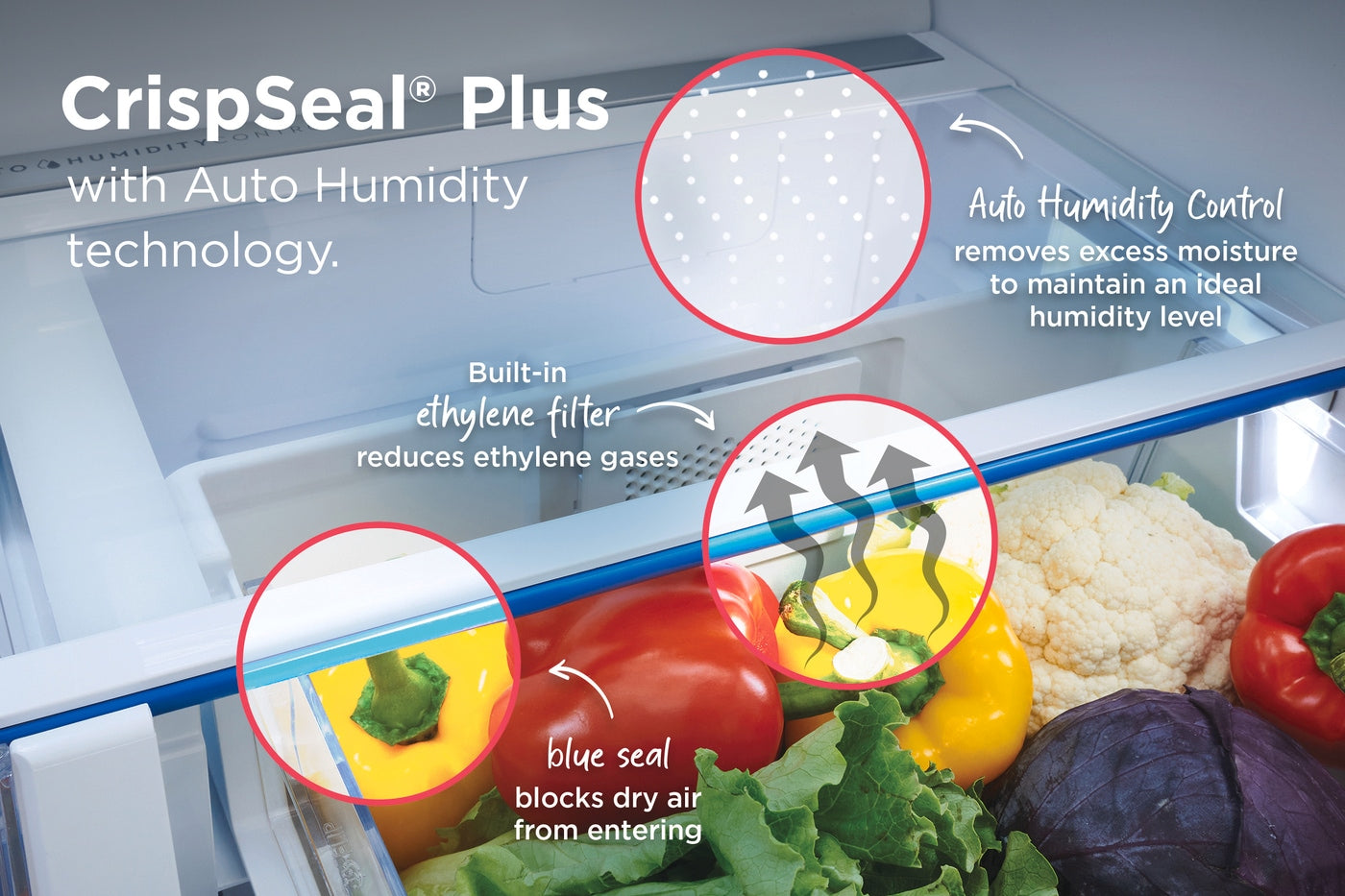 Manufacturer Image 4